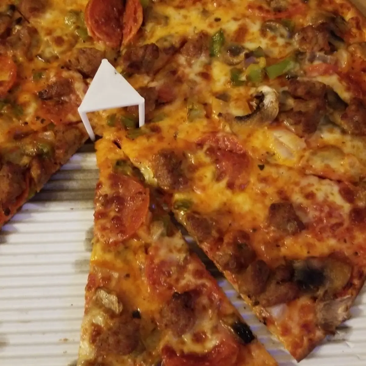 Half Lions Feast Half Supreme Pizza