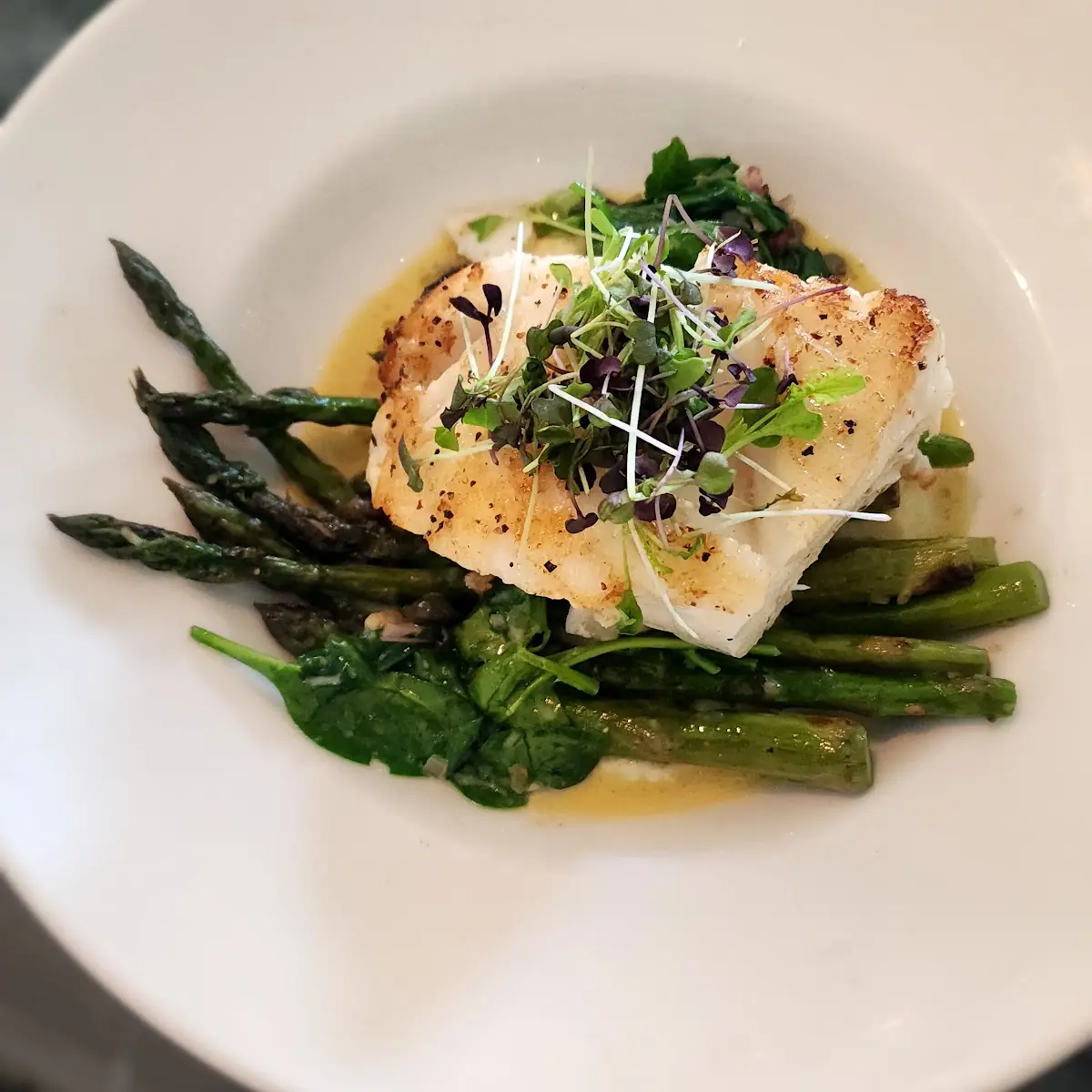 Sea Bass