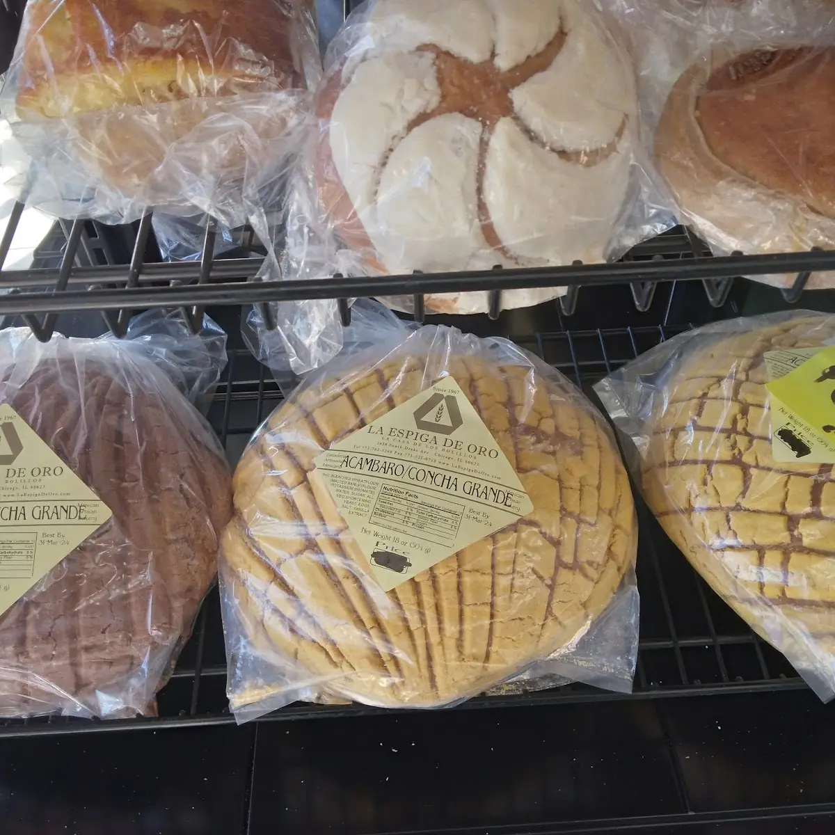 Fresh Baked Mexican Bread