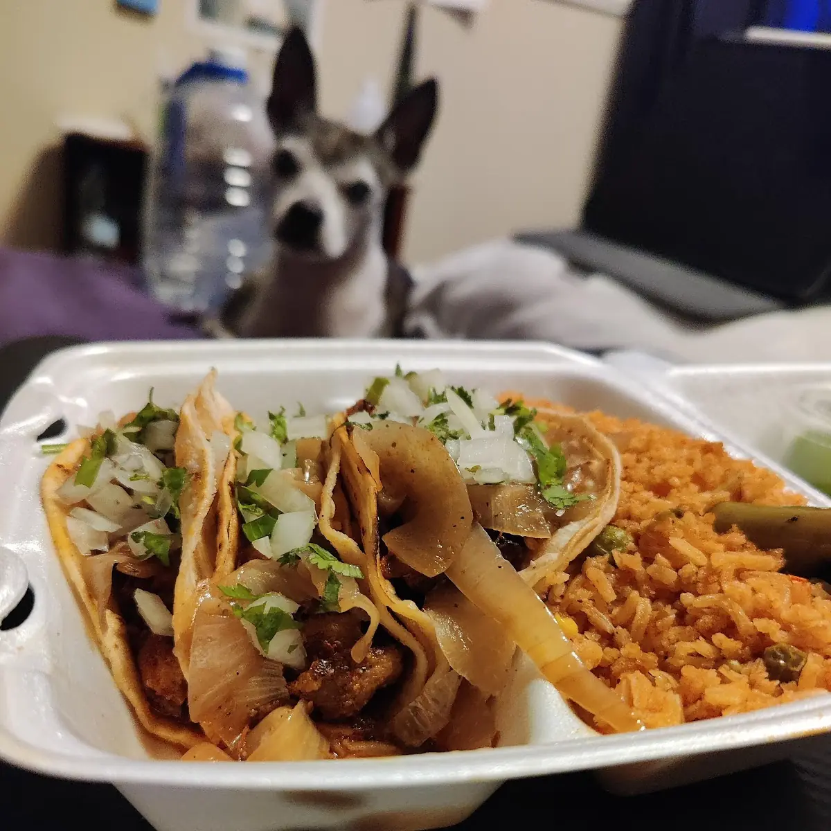 Pastor Tacos with Double Rice