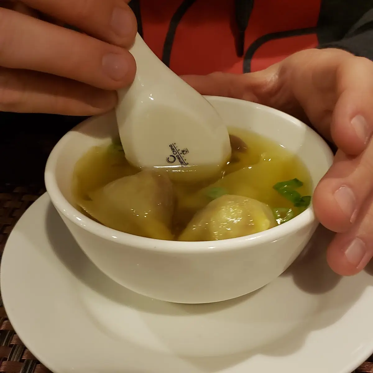 Wonton Soup