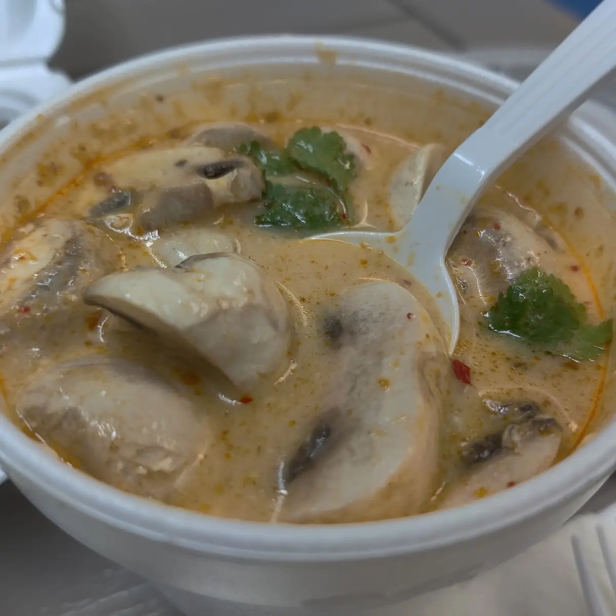 Coconut Soup