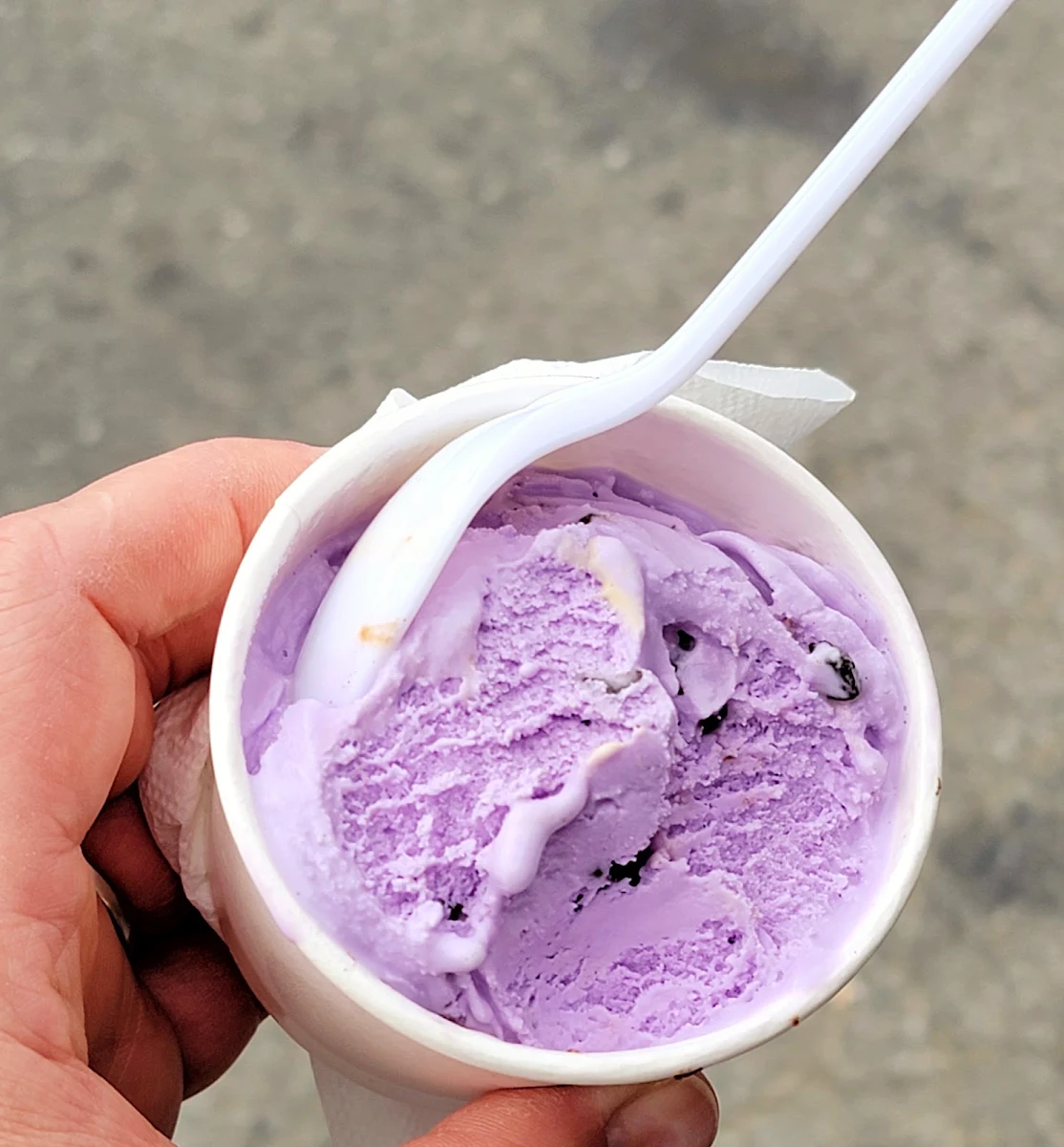 Burgundy Cherry and Chocolate Ice Cream