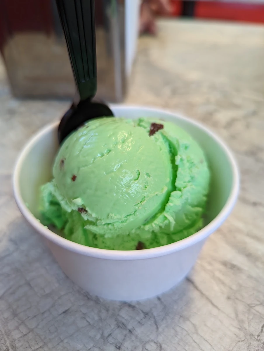 Mint Chocolate Chip