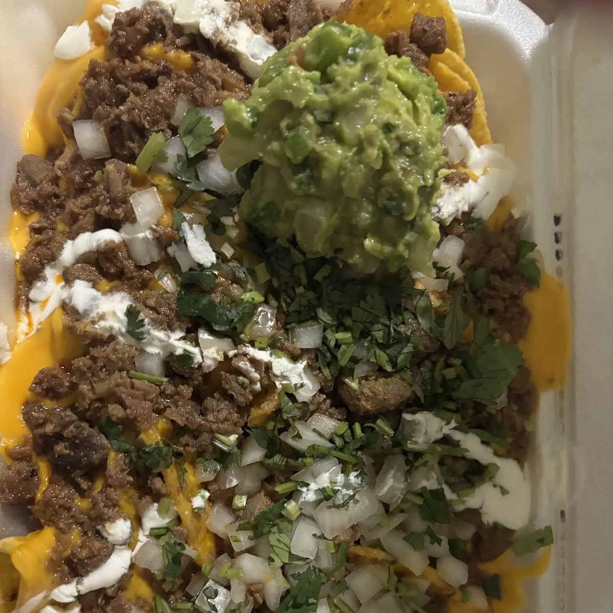 Carne Asada Fries