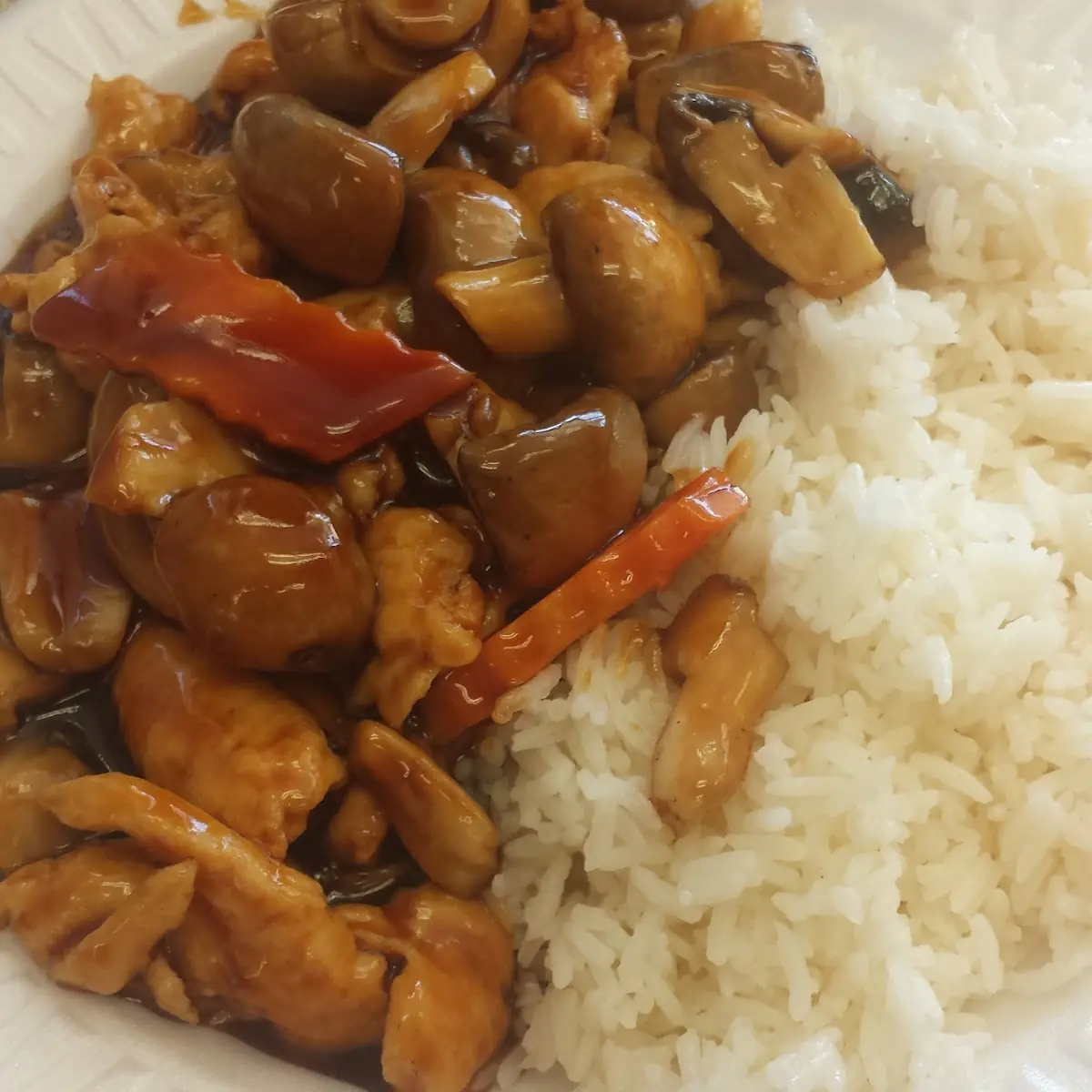 Chicken and Mushroom Chicken