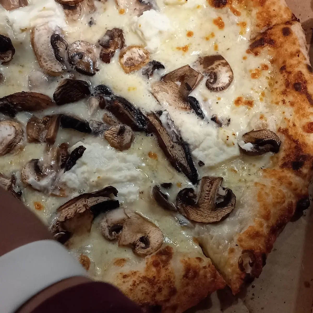 Mushroom Pizza
