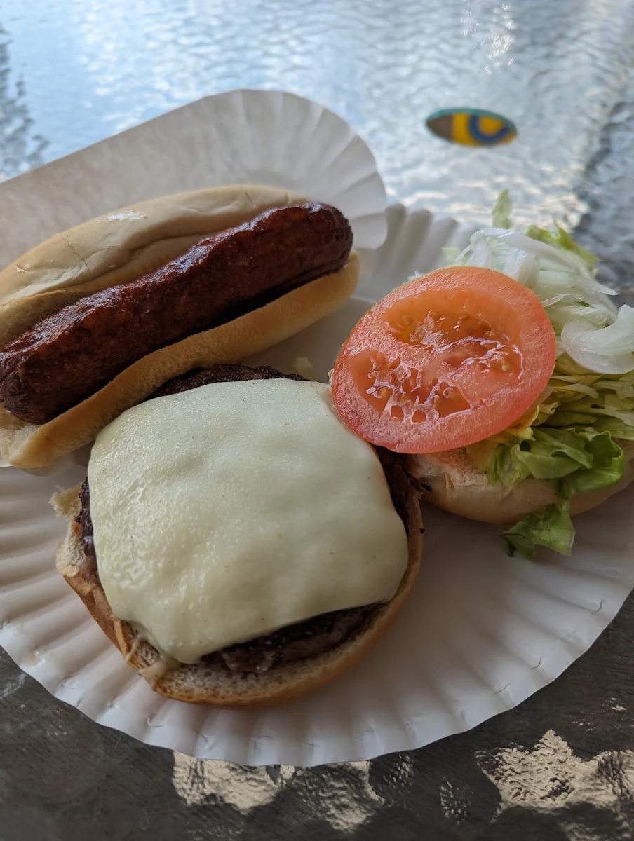 Cheeseburger and Hot Dog