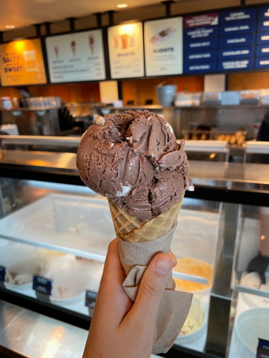 Chocolate Ice Cream