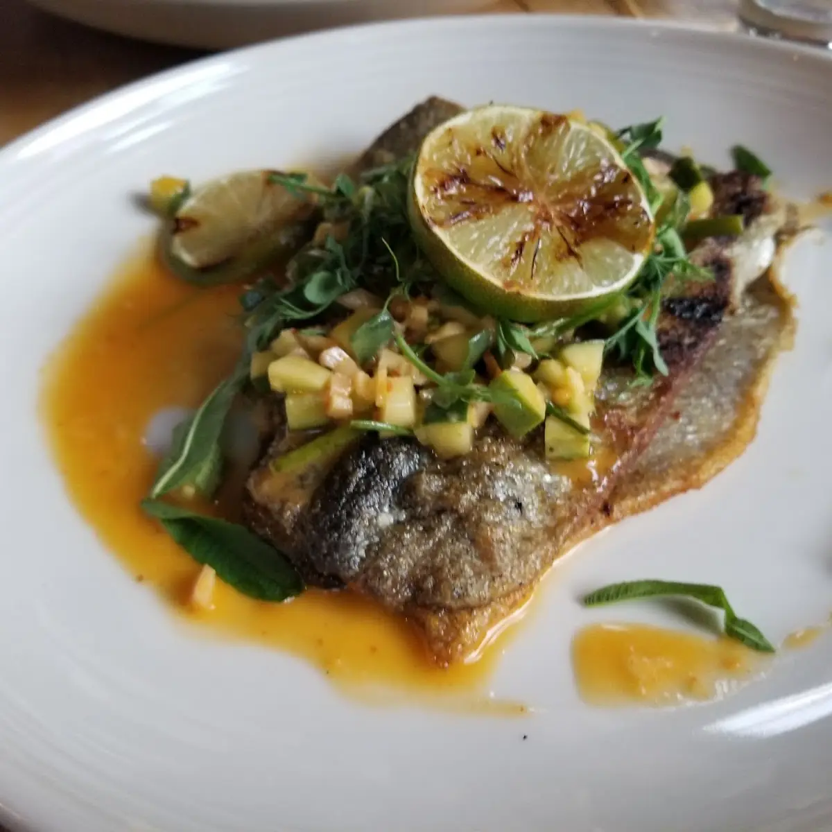 Sea Bass