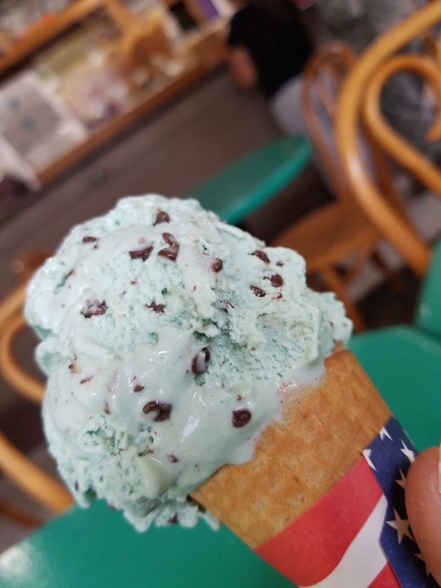 Mint Chocolate Chip