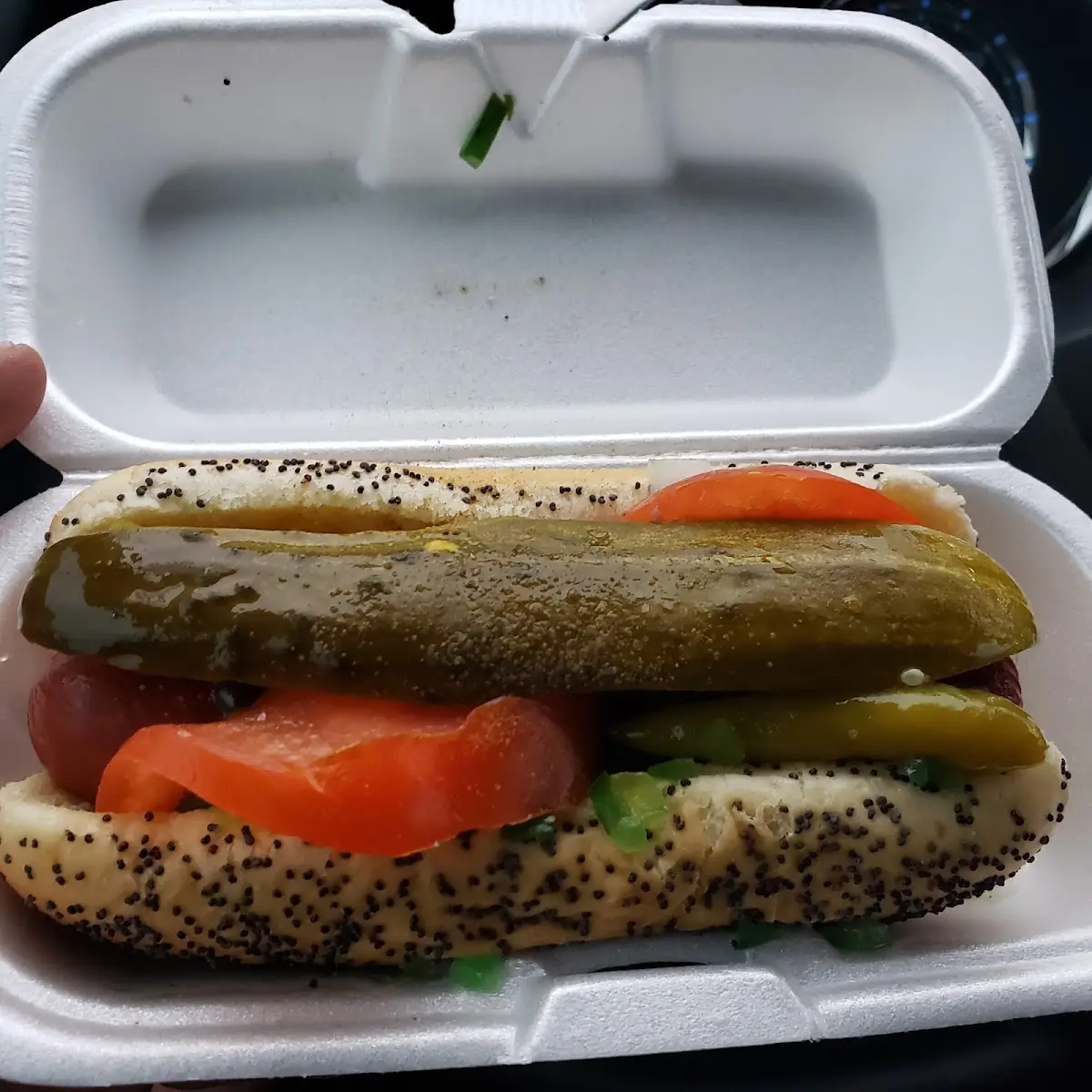 Chicago Style Hot Dog