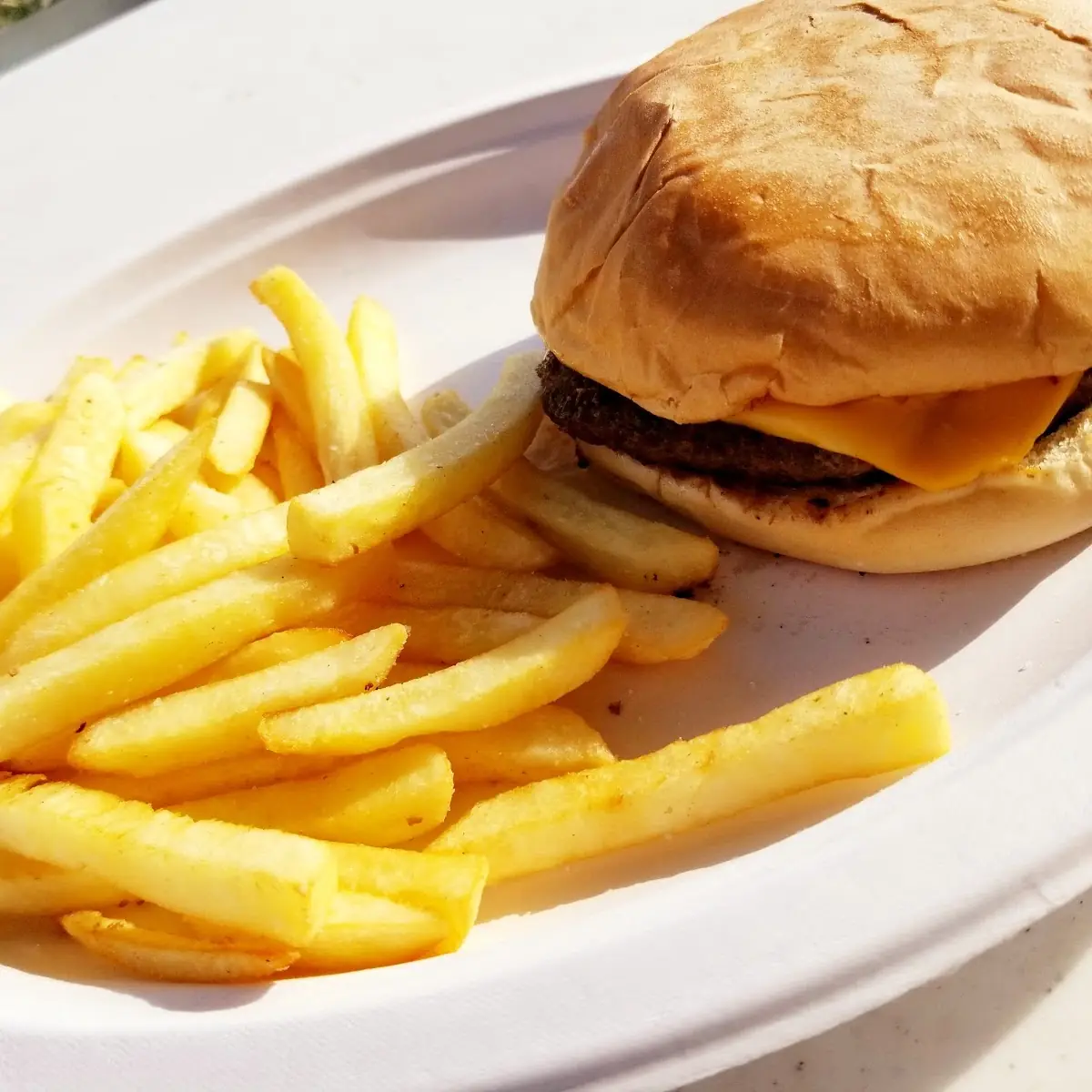 Cheeseburger and Fries