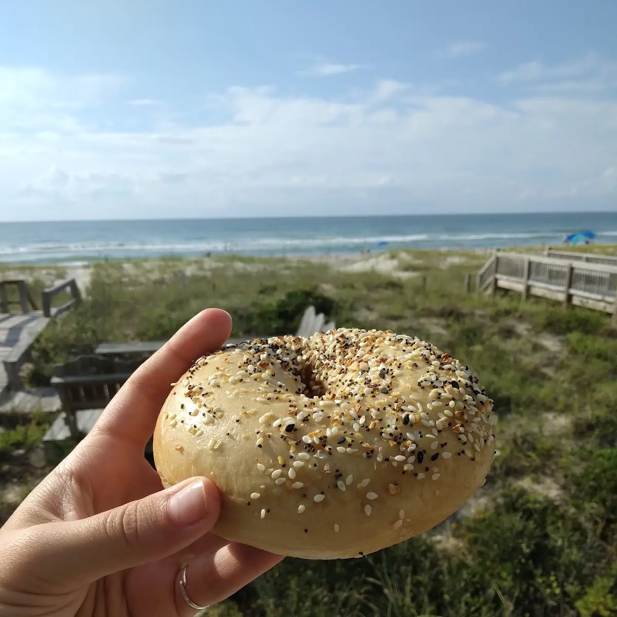Everything Bagel Plain