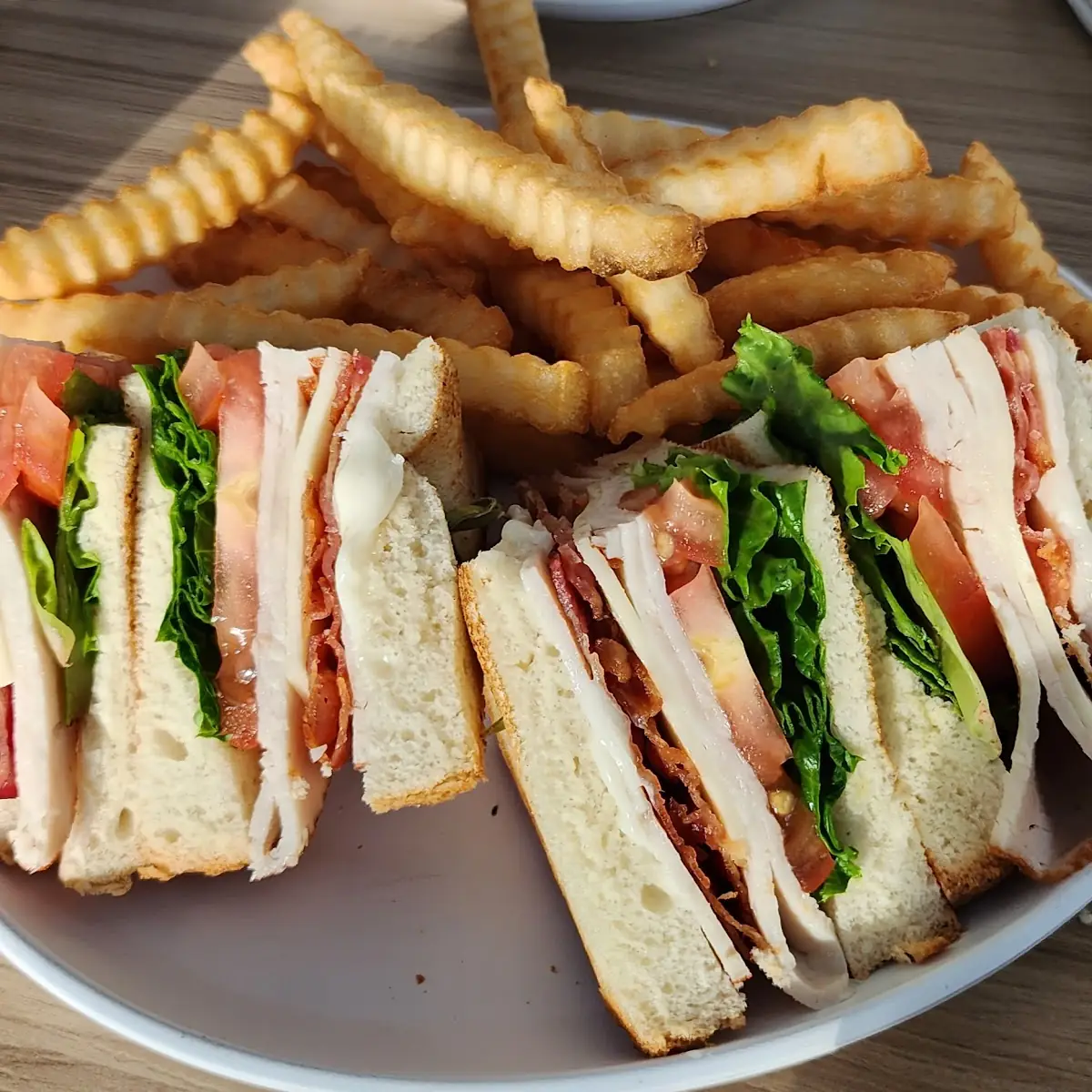 Turkey Club w Fries