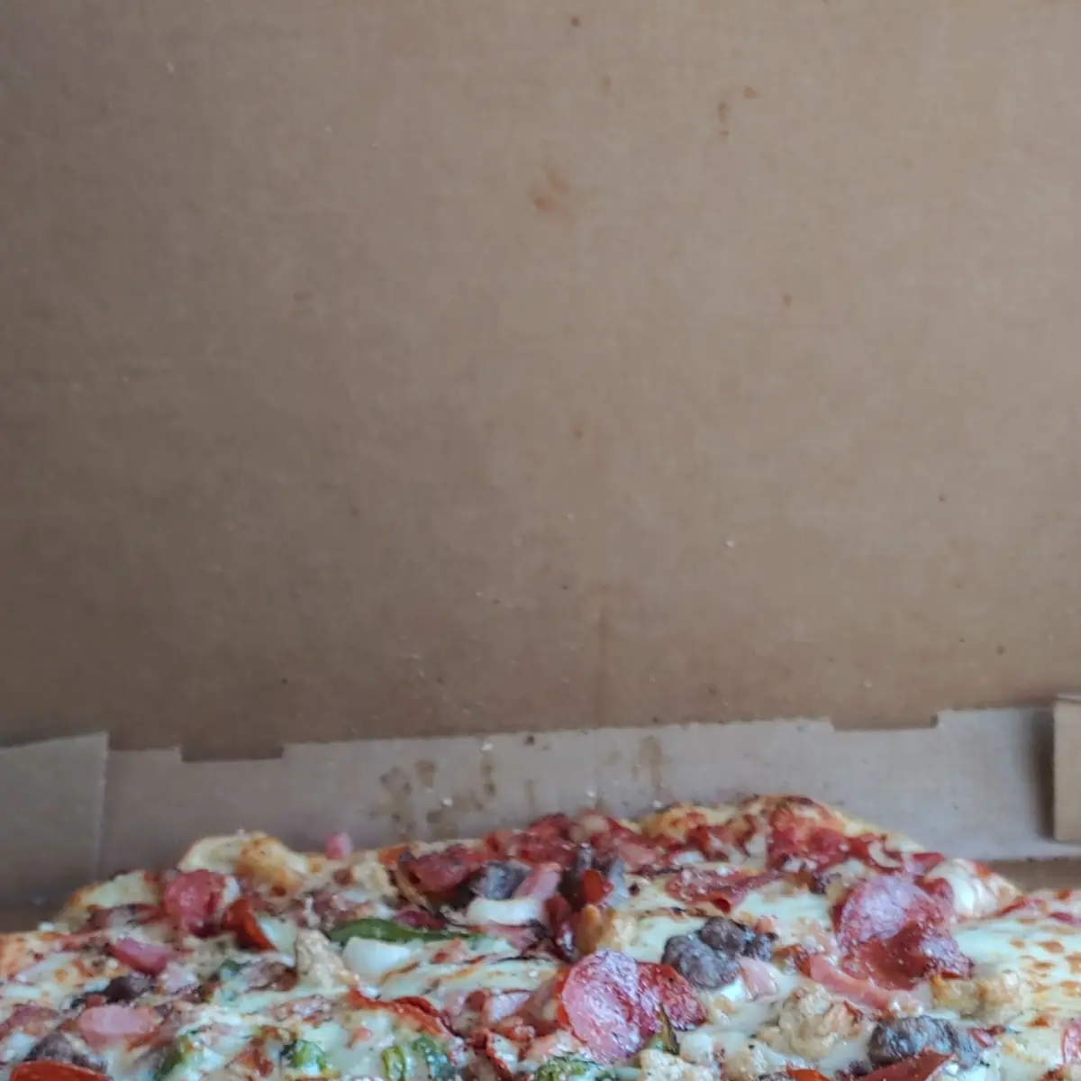 Meat Lover's Pizza with Veggies