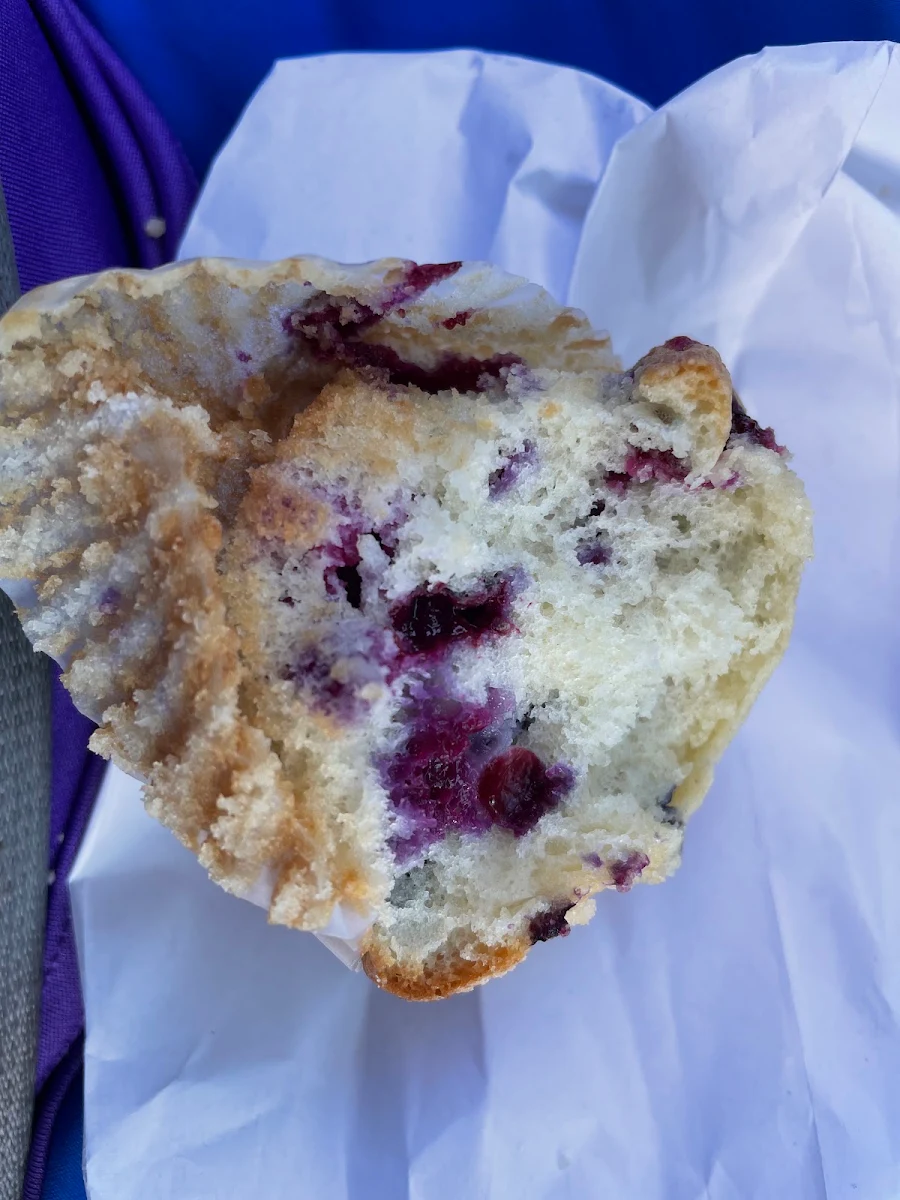 Blueberry Muffin