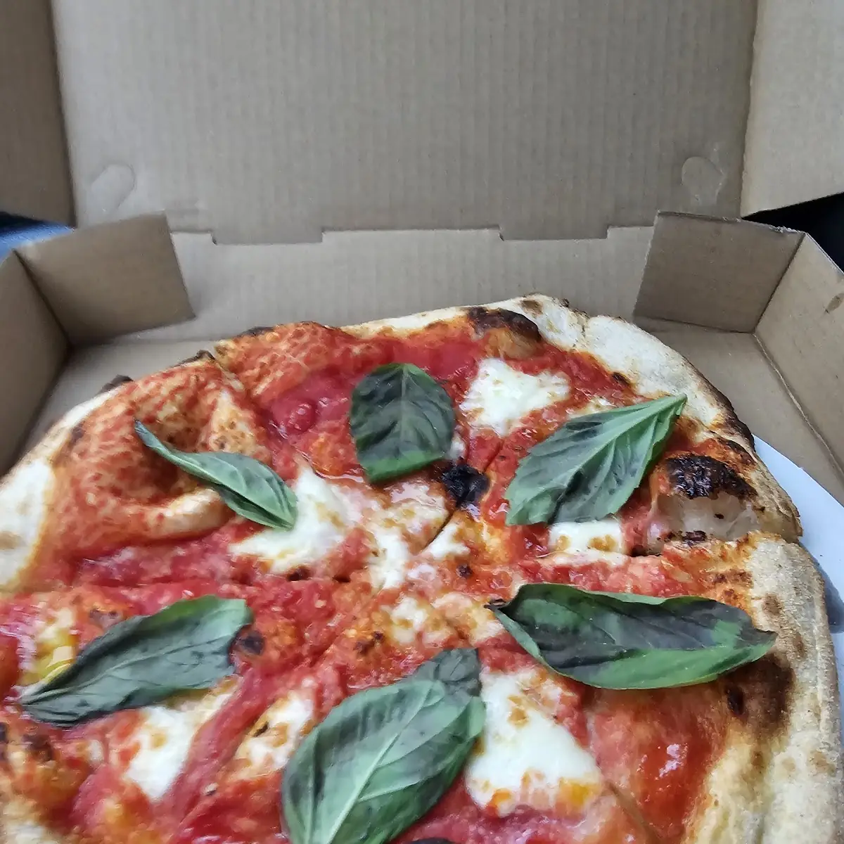 Margarita Pizza