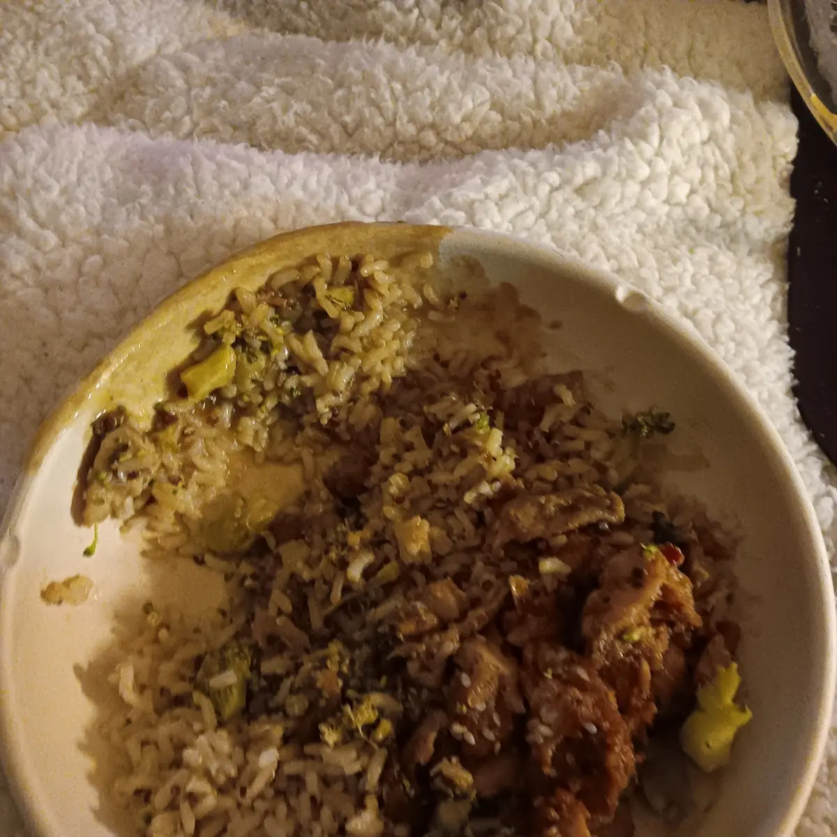 Teriyaki Chicken and Broccoli and Rice Bowl