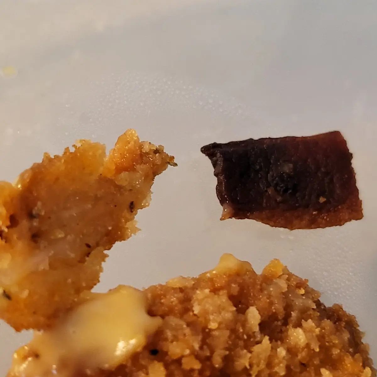 Dried Old Chicken and Burnt Bacon