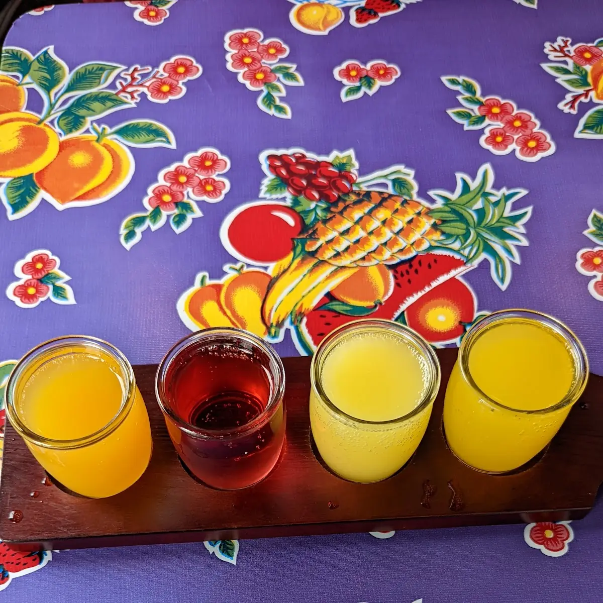 Mimosa Flight