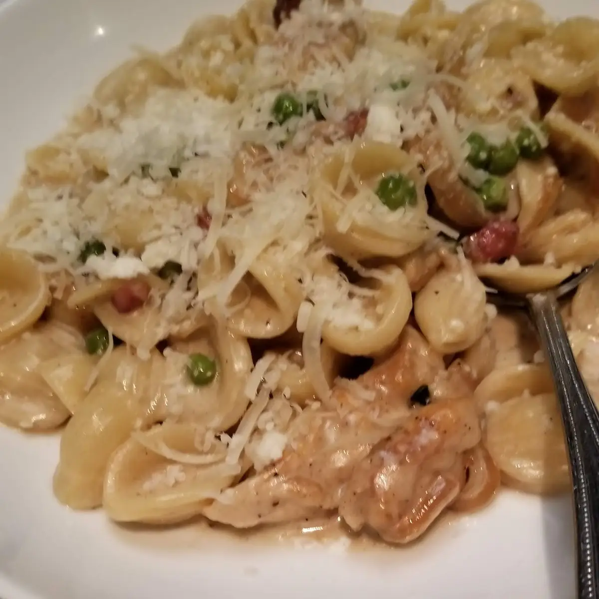 Chicken Alfredo Pasta