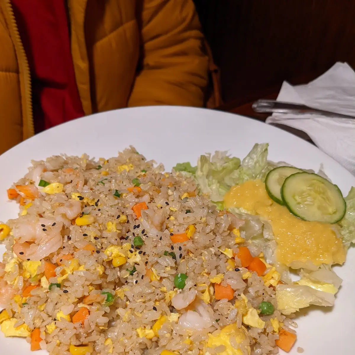 Chicken Fried Rice and Salad