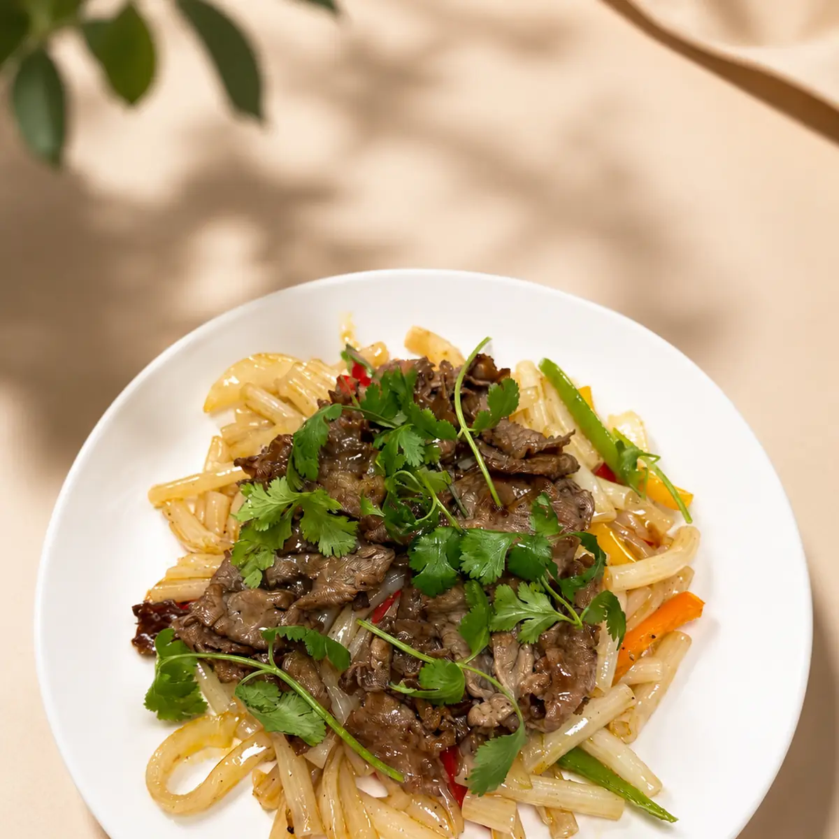 Beef Stir-Fried Noodle – MI Xao Bo