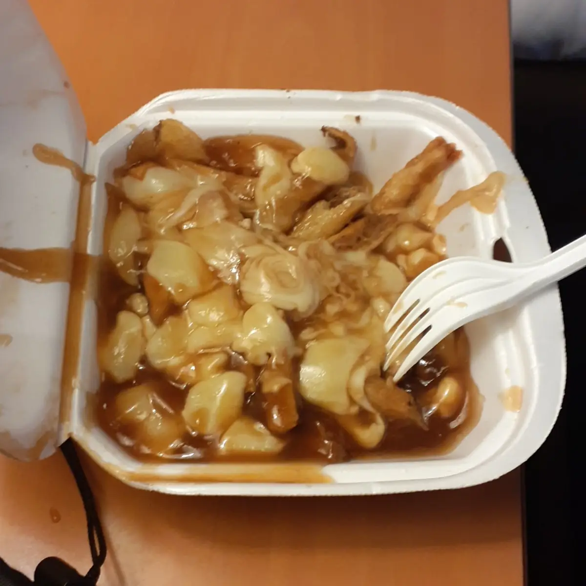 French Fries with Gravy