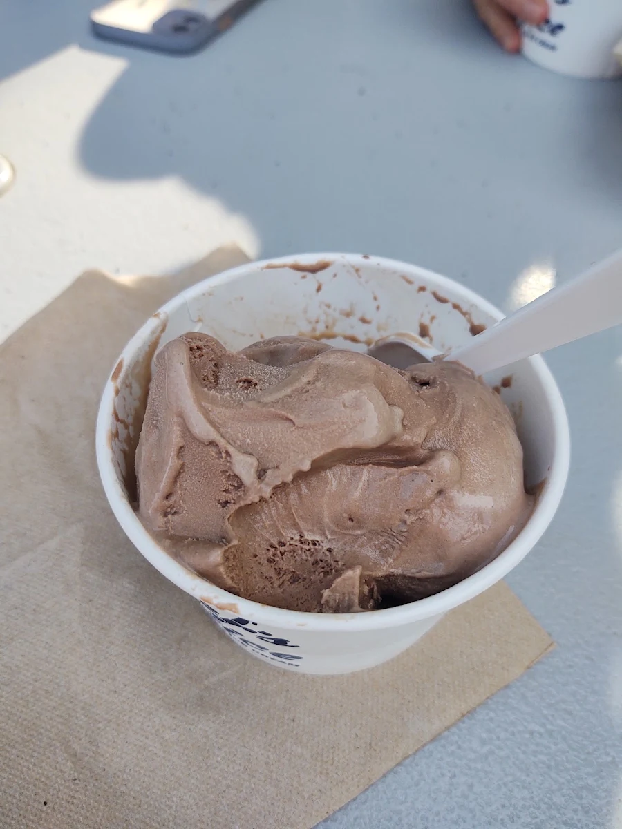 Chocolate Ice Cream