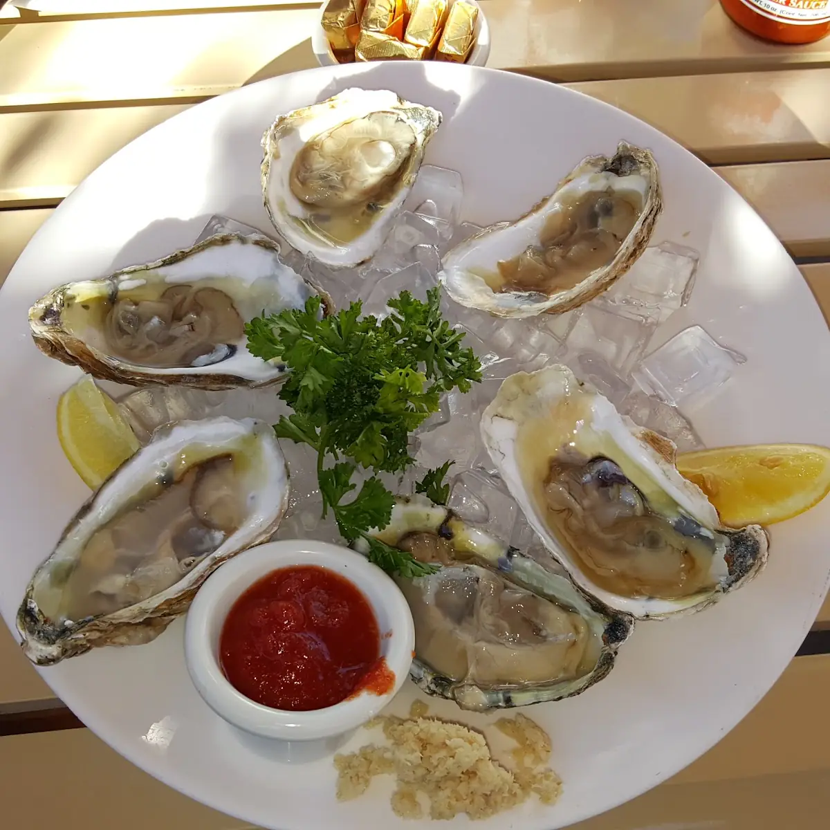 Oysters on the Half Shell