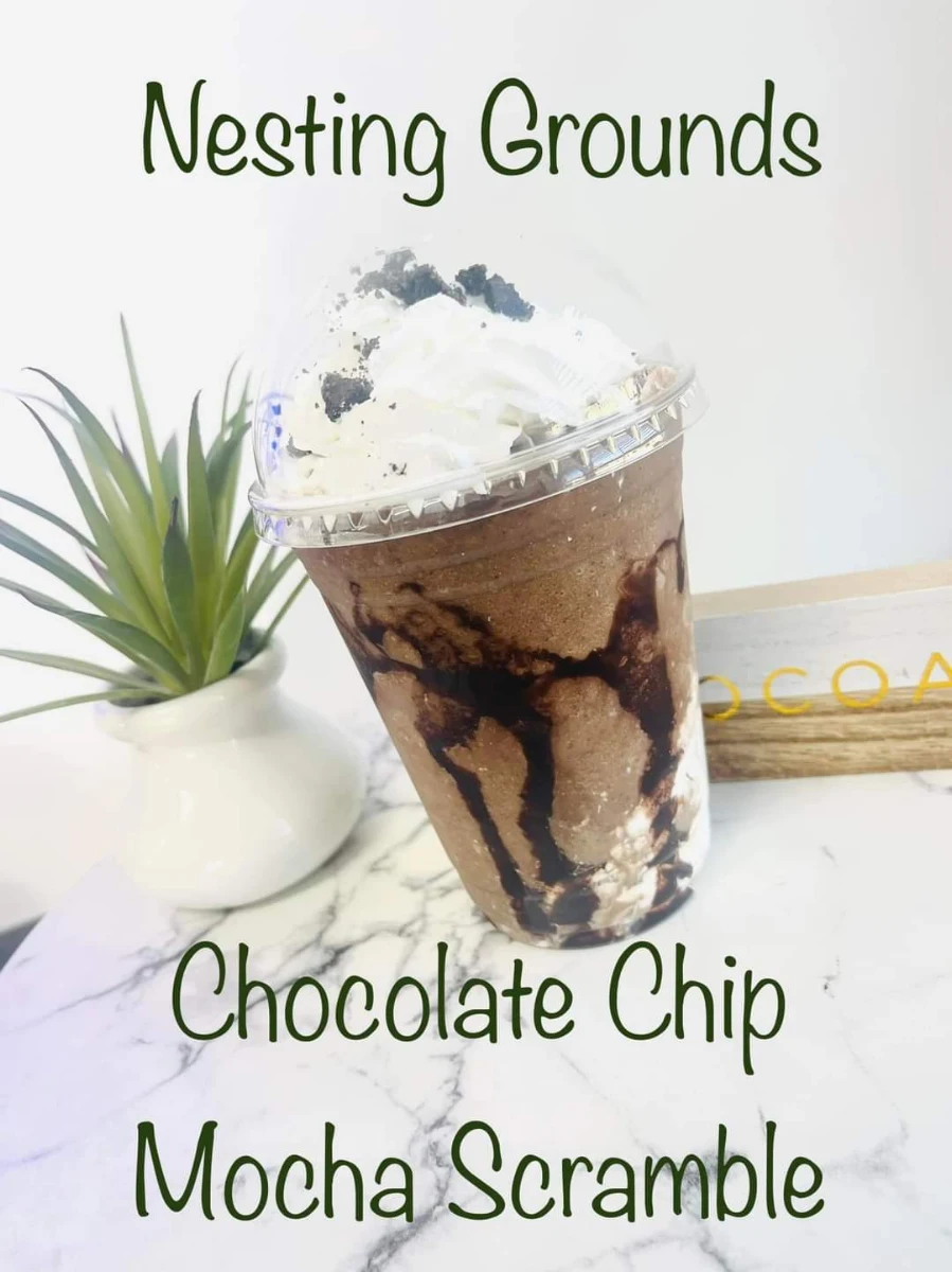 Chocolate Chip Mocha w Espresso