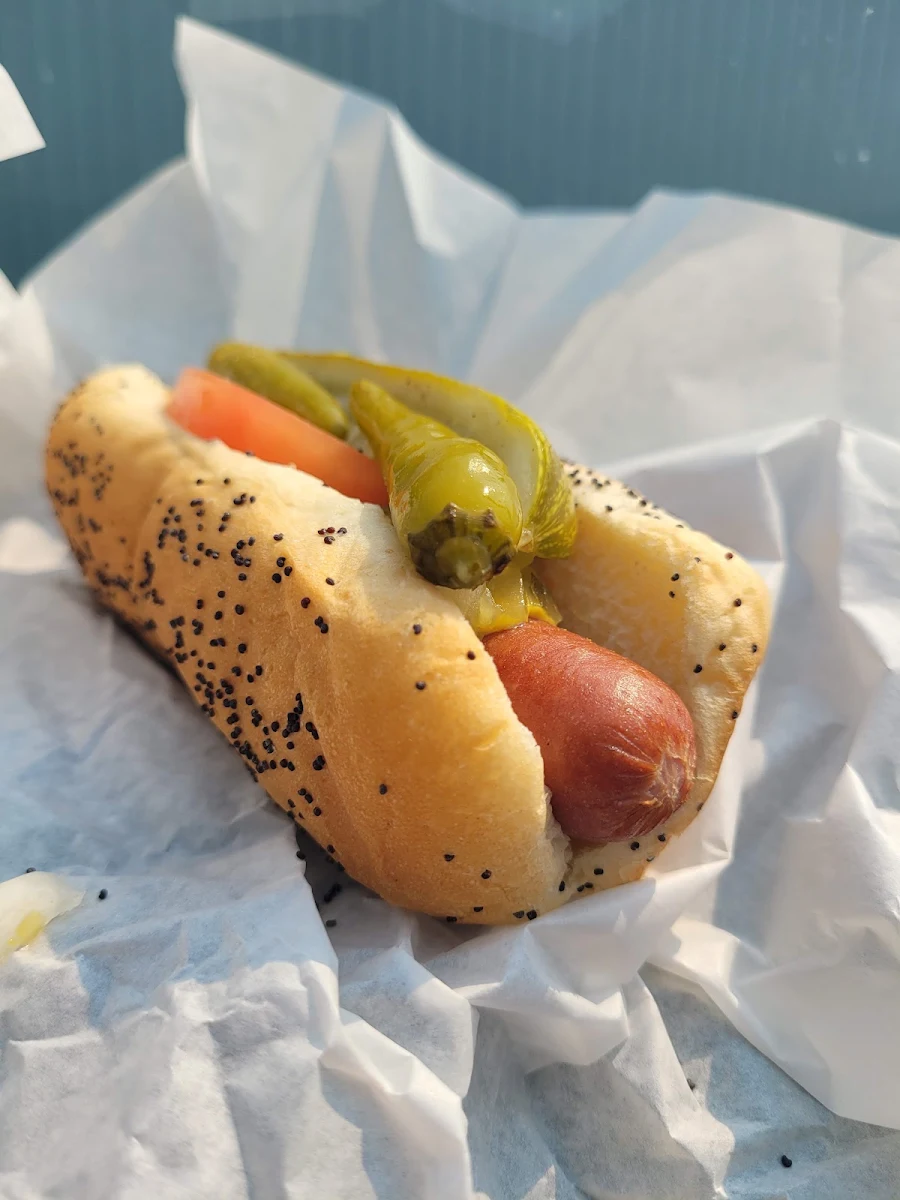 Chicago Dog
