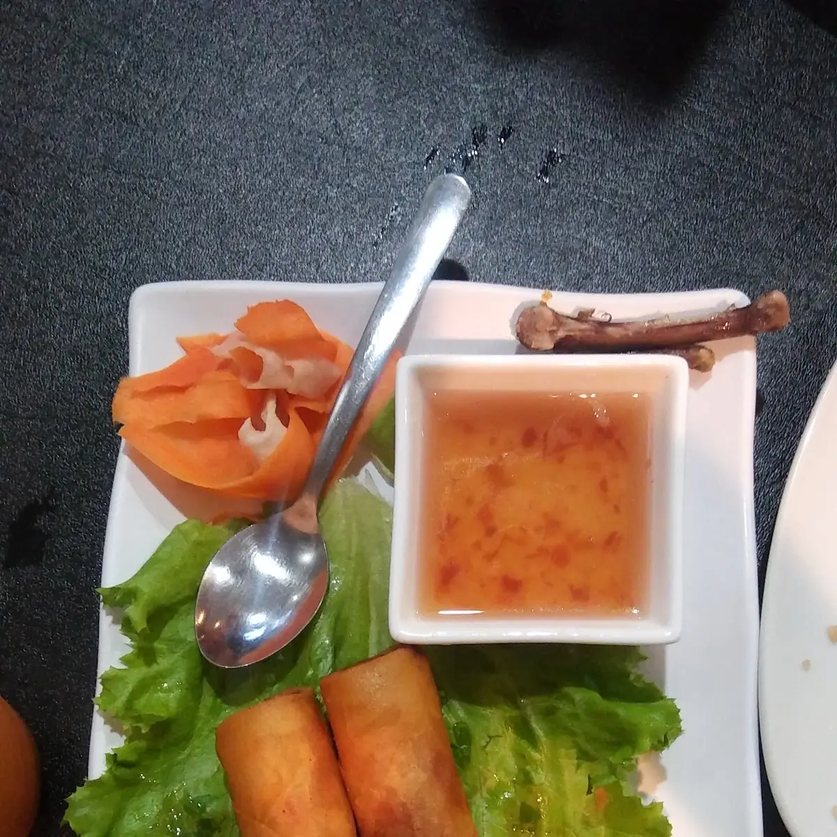 Spring Roll 4