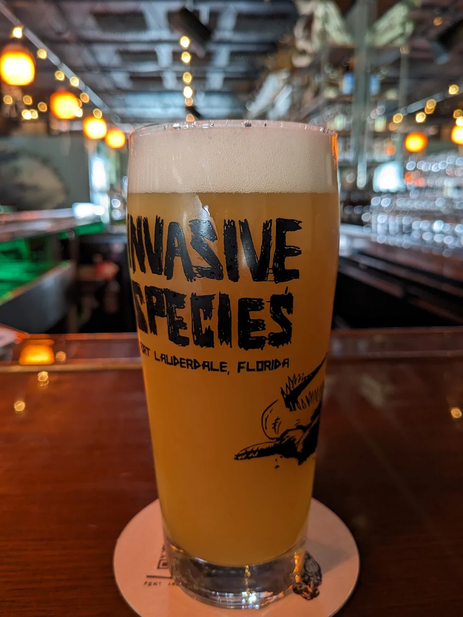 Sour Ale w Passion Fruit Pineapple