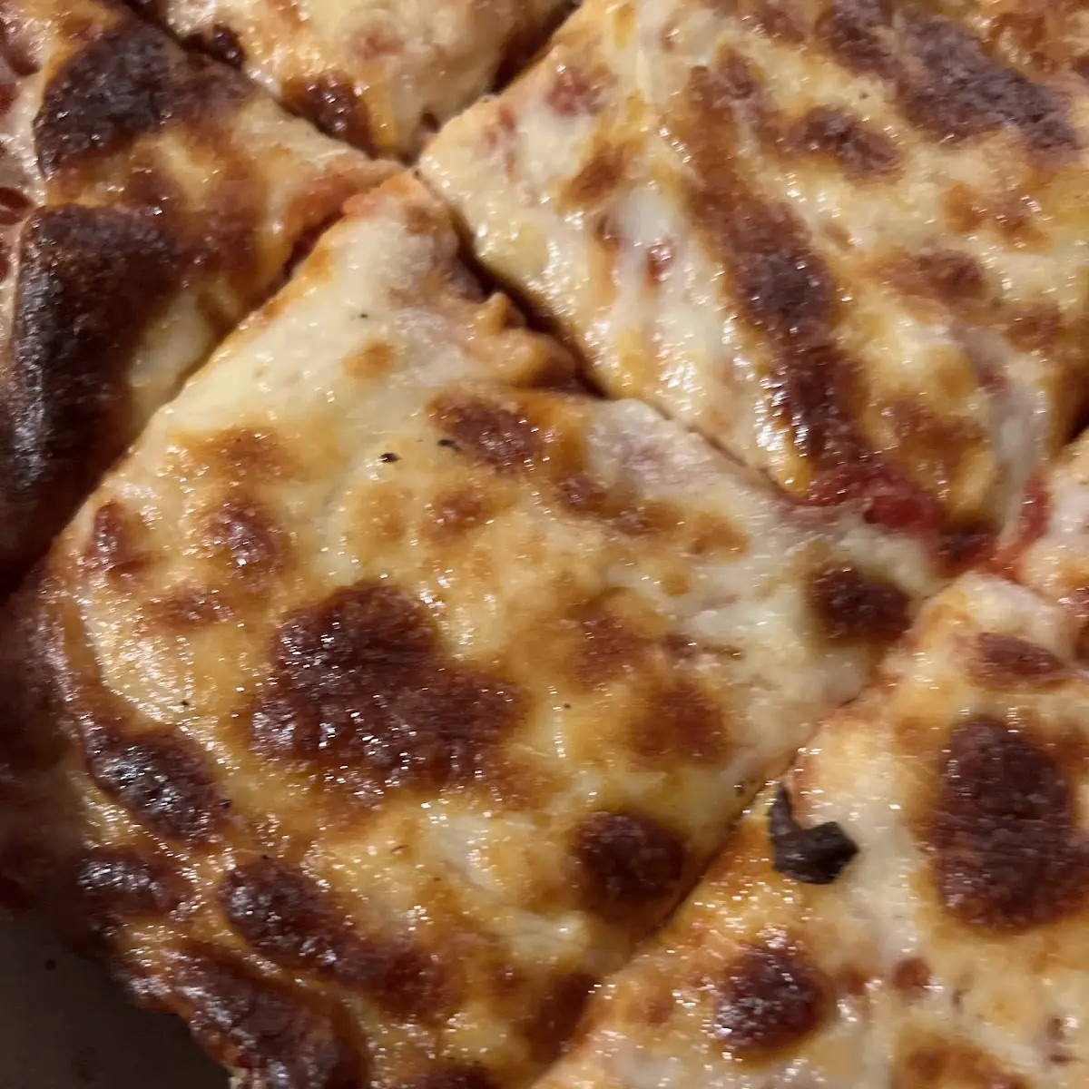 Extra Cheese Pizza