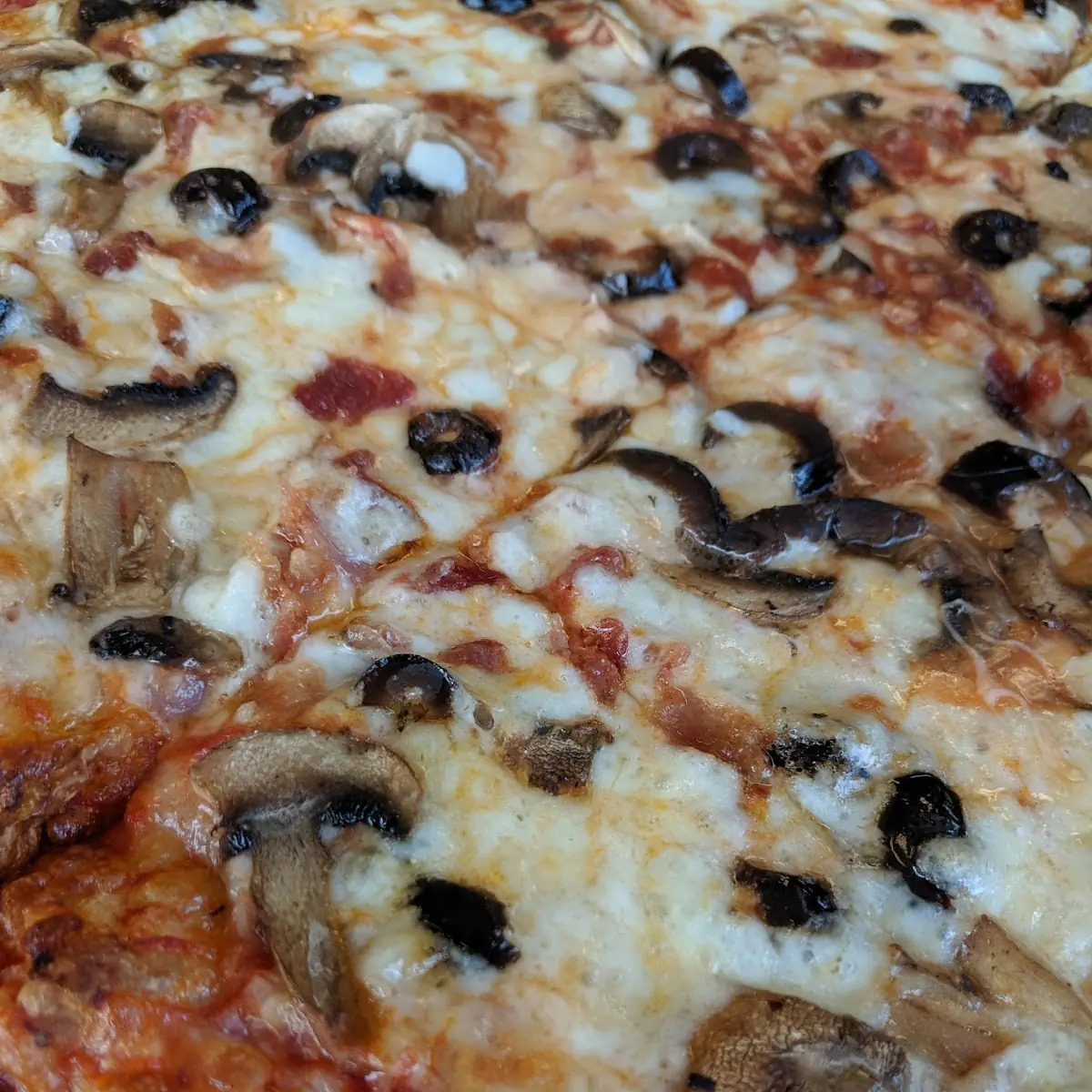 Mushroom and Olive Pizza