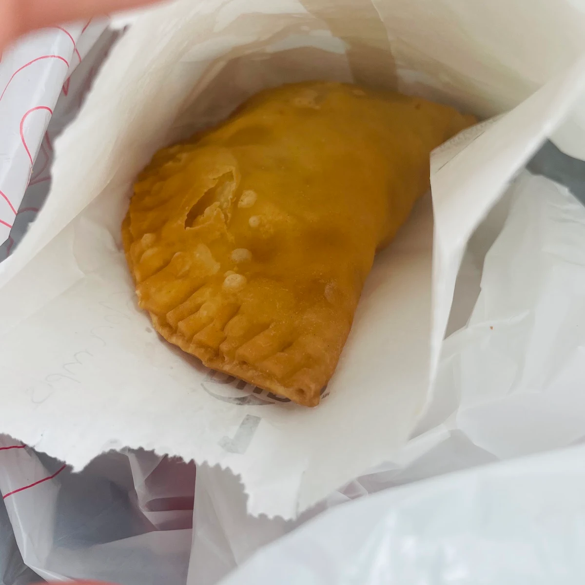 Chicken Empanada