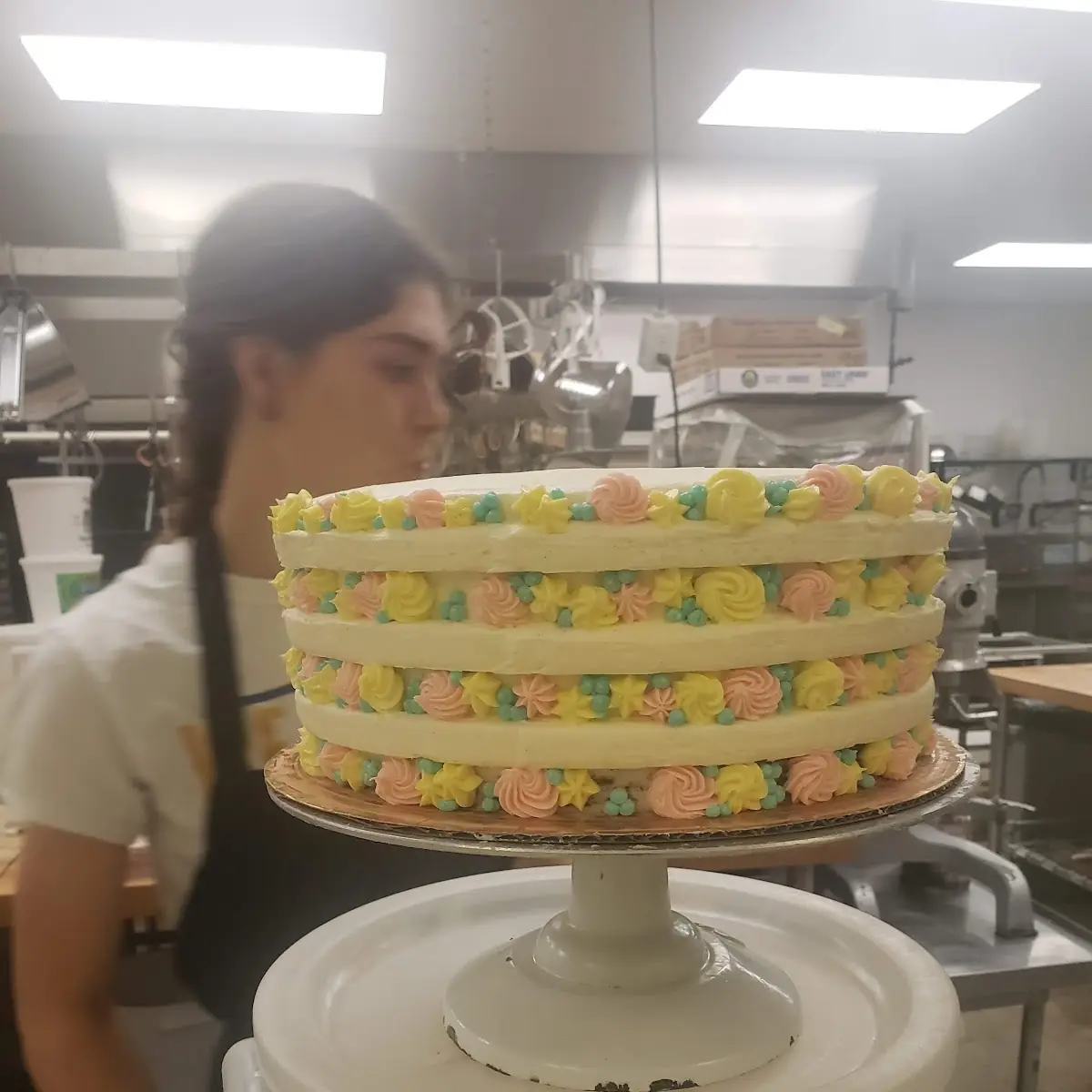 Cake Slice