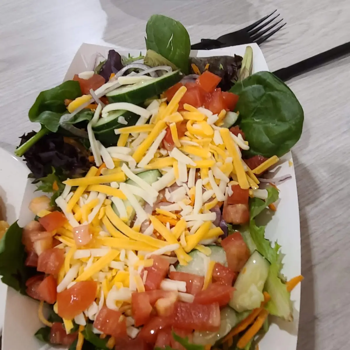Fresh Tossed Garden Salad
