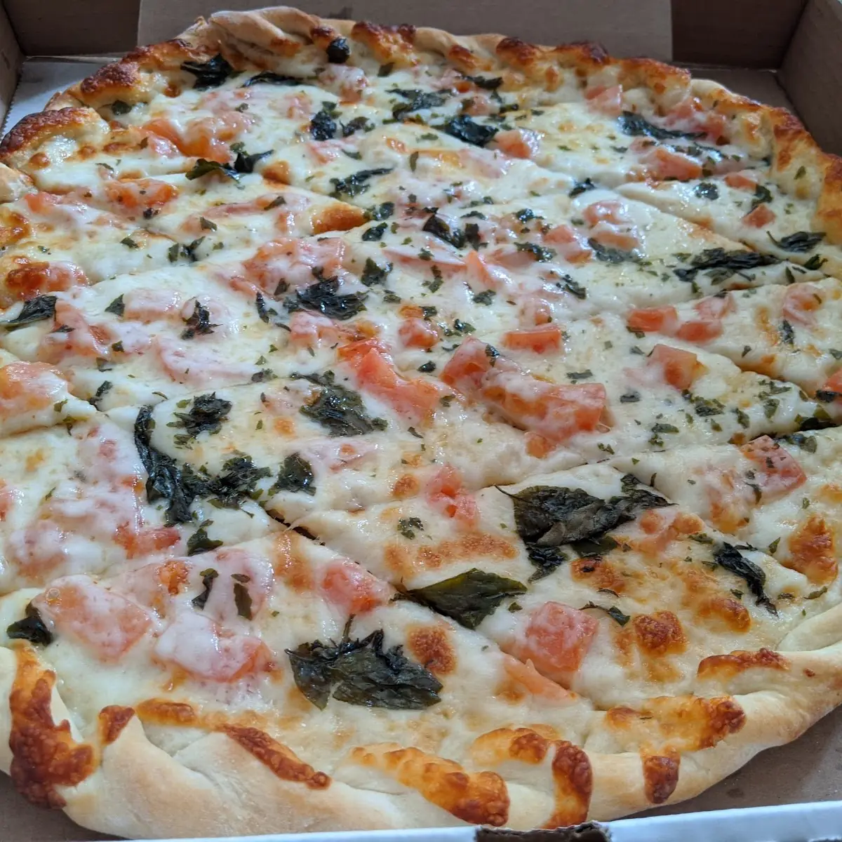 Pizza Margherita