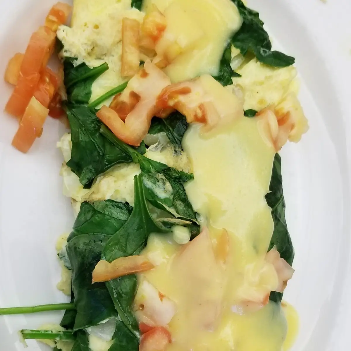 Cheese Omelette