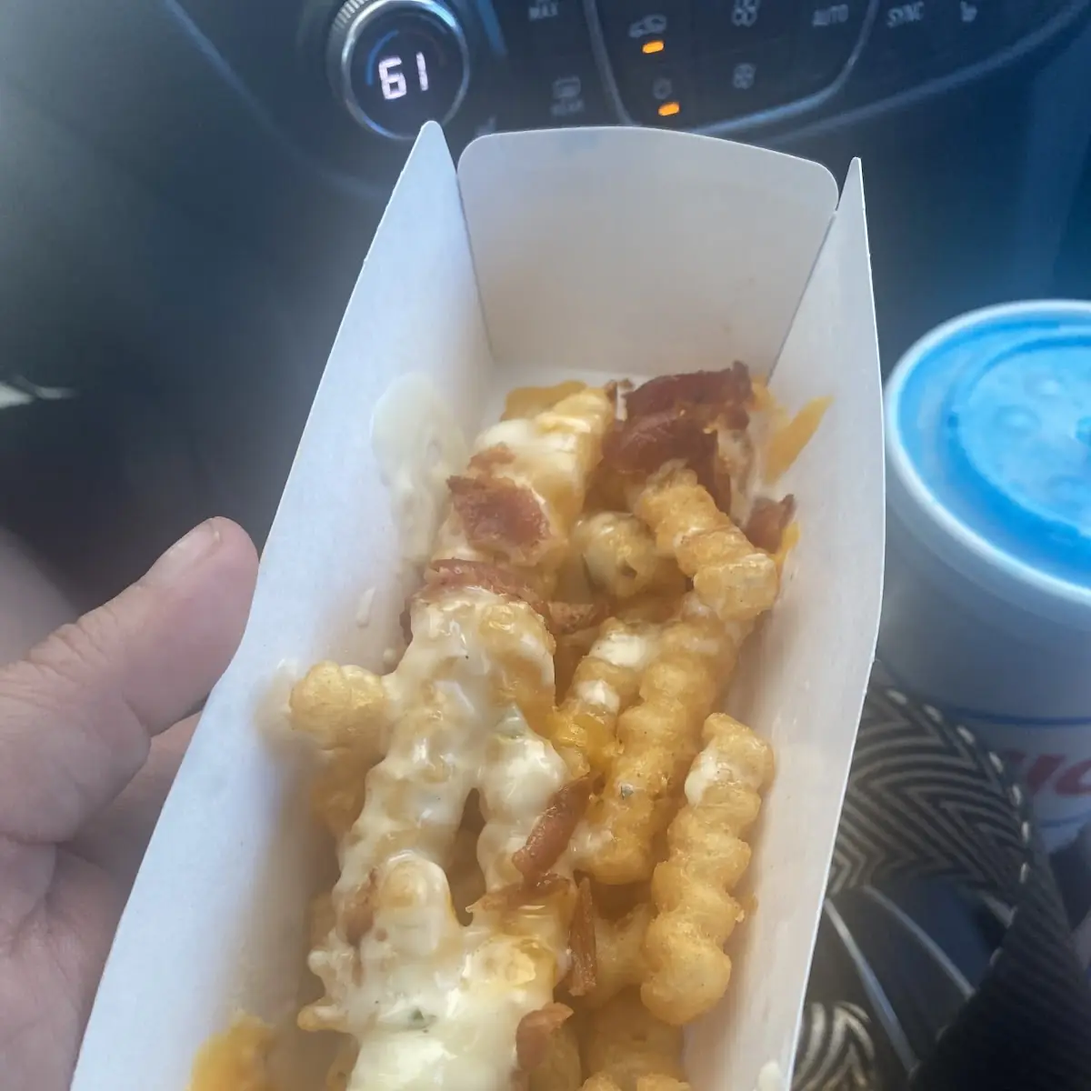 Chili Cheese Fries
