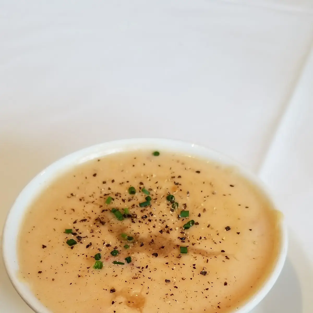 New England Clam Chowder Cup