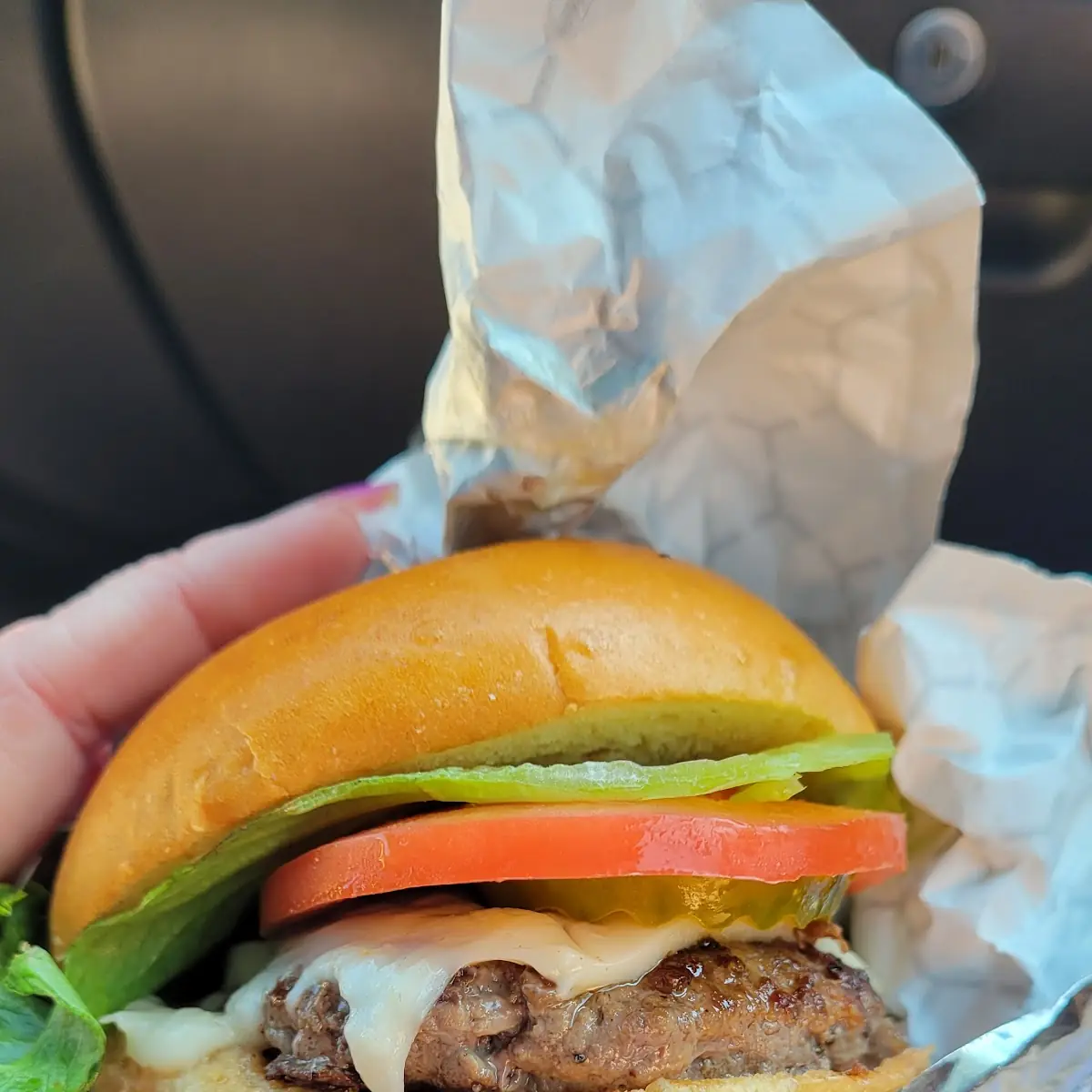 Pastrami Burger