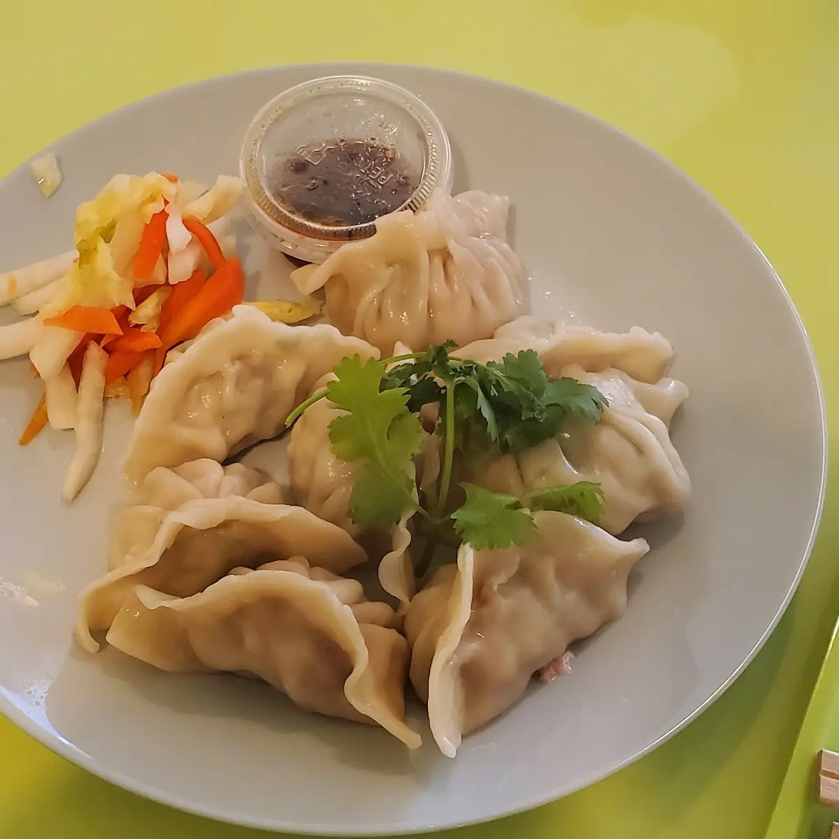 Pork Dumplings