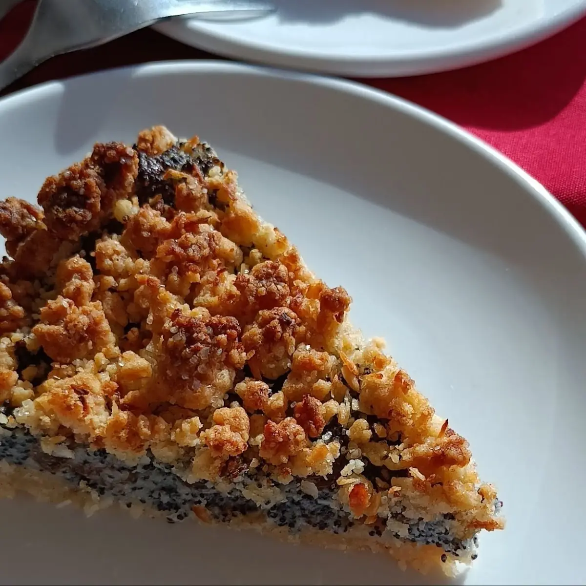 Poppy Seed & Coconut Streusel Slice
