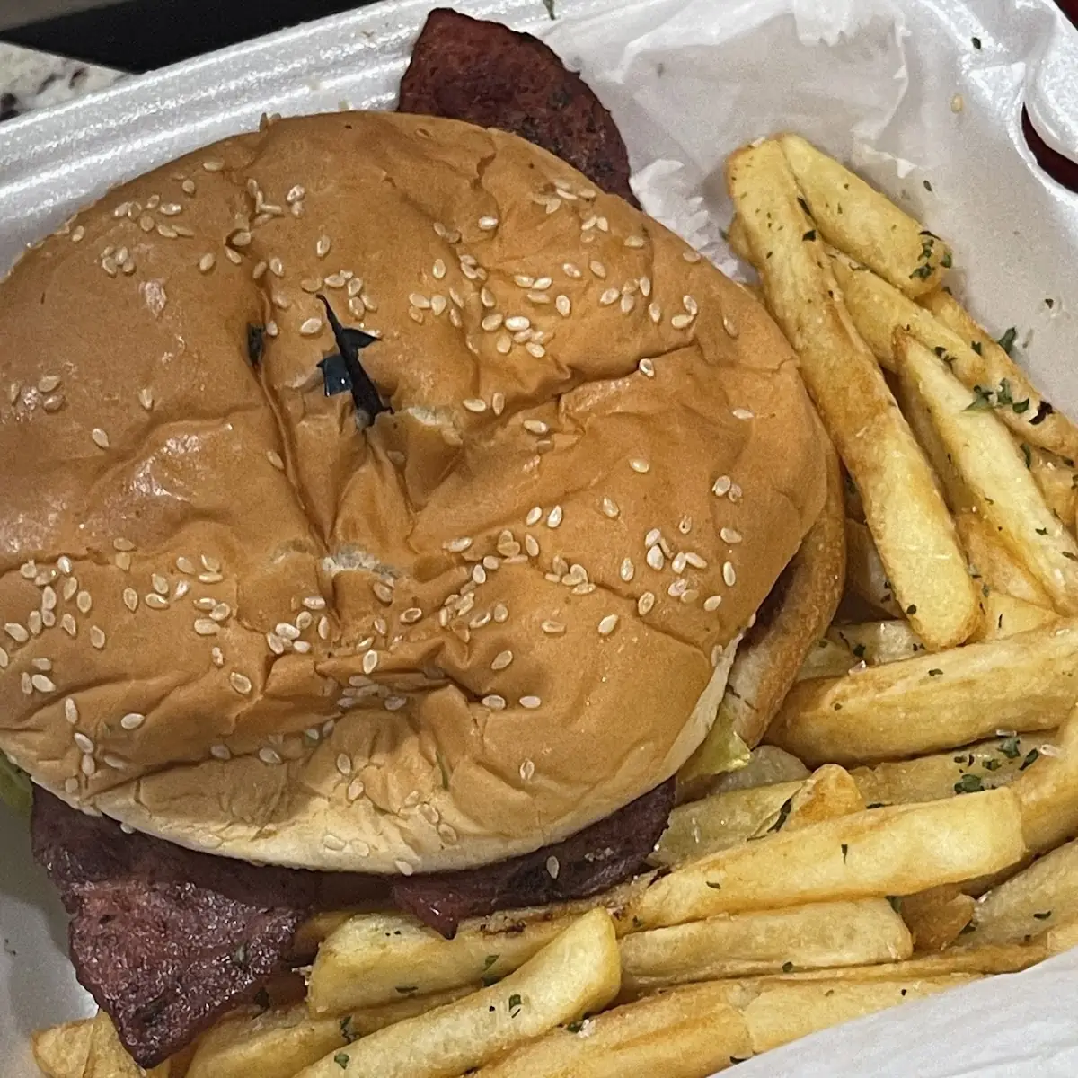 Texas Burger w Fries
