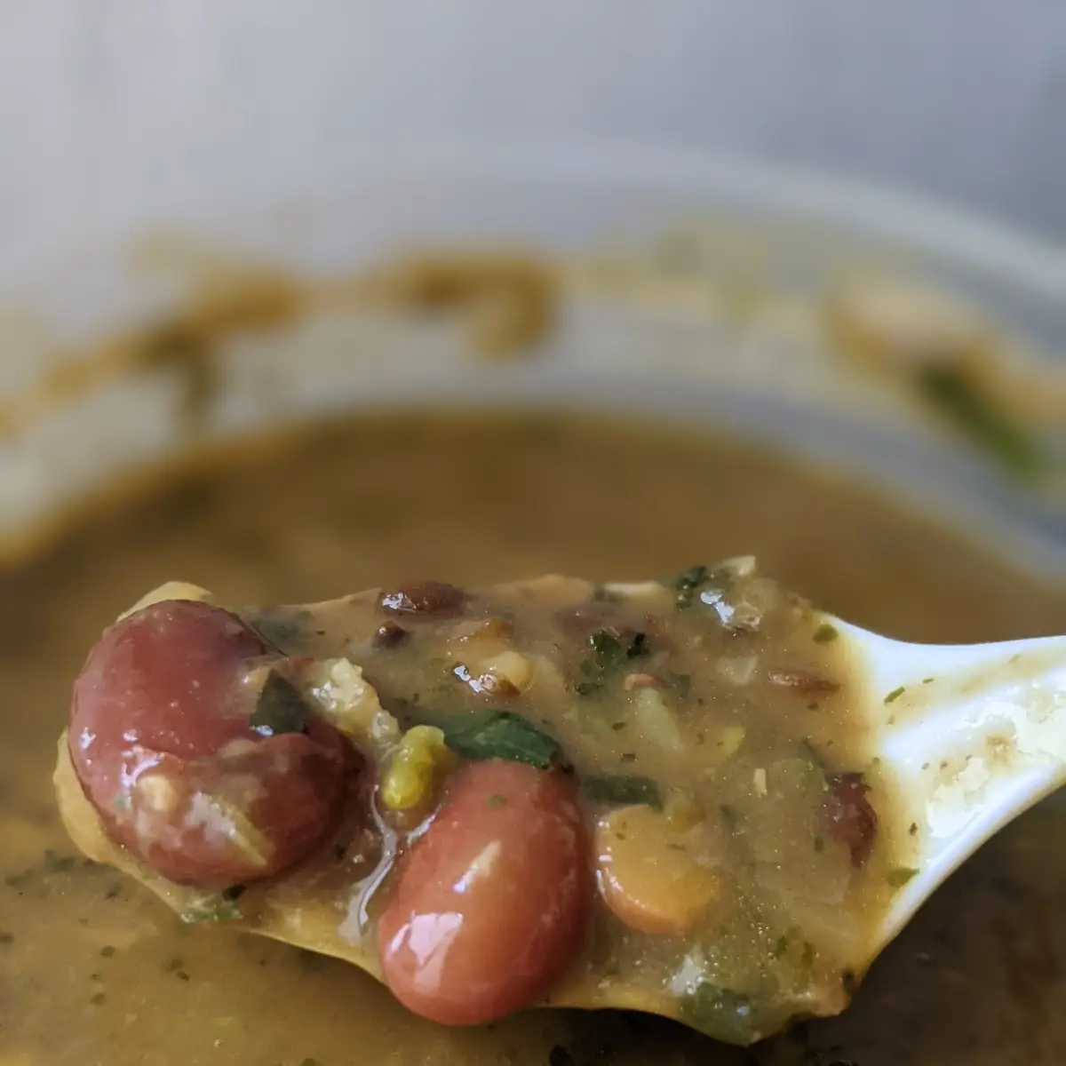 Dal Makhani