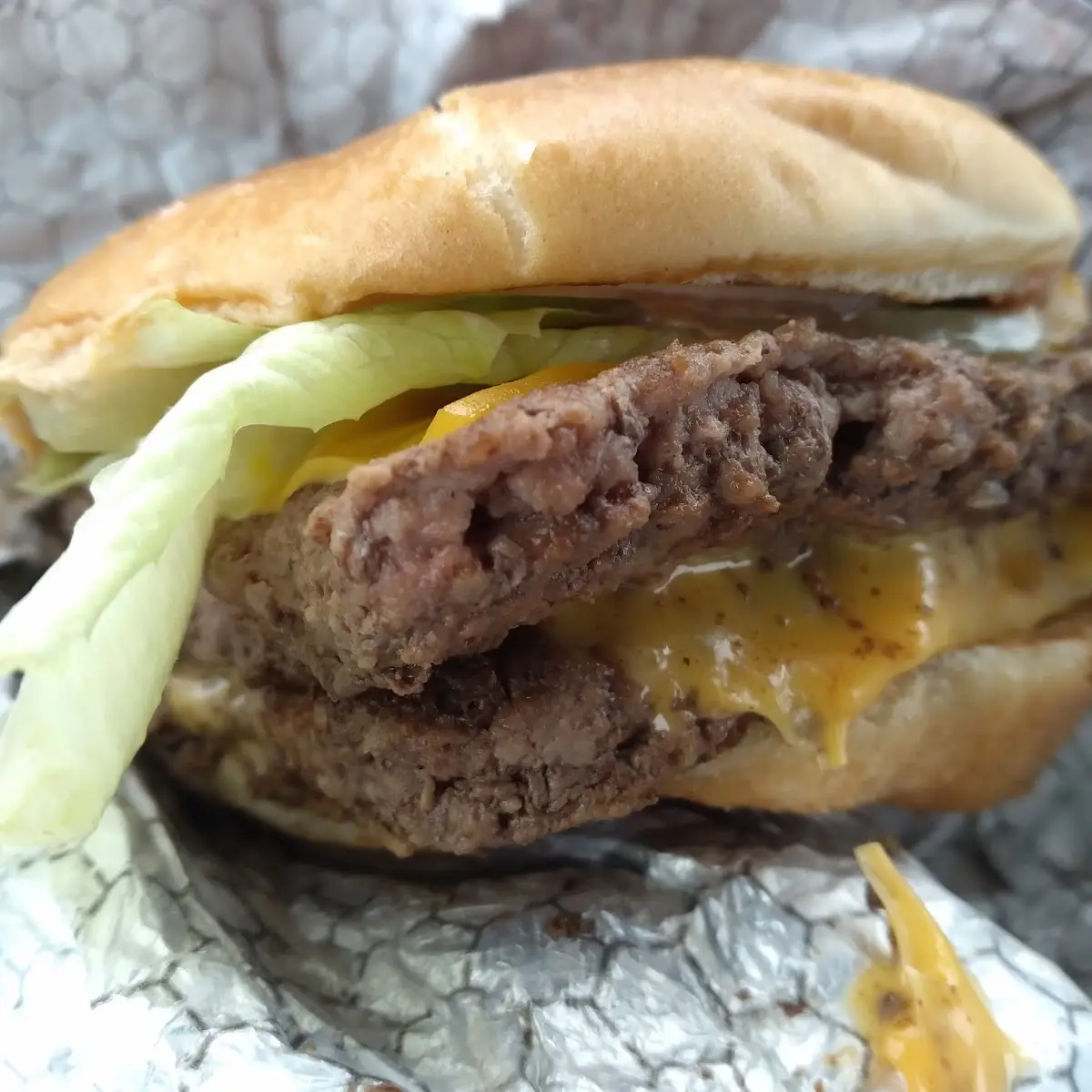 Double Cheeseburger